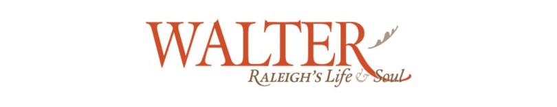 banner-blog-walter-1