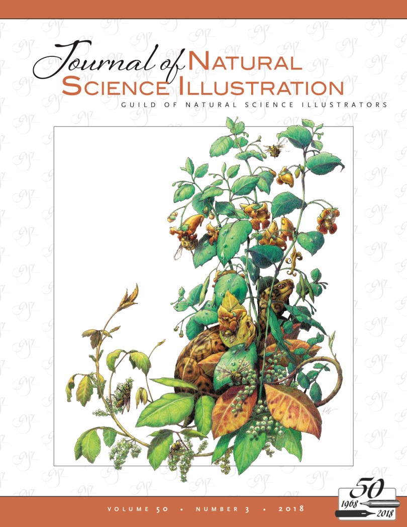 jnsi2018-3_montague_01