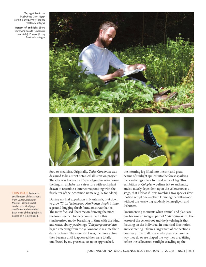 jnsi2018-3_montague_03