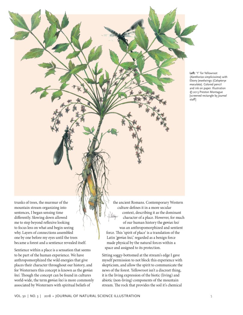 jnsi2018-3_montague_04